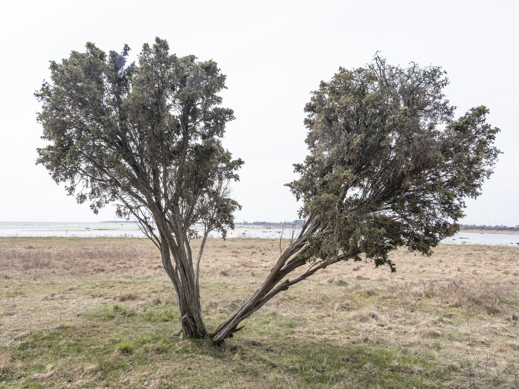 003 260414 1112 J  2JR0003 DxO DeepPRIME 3